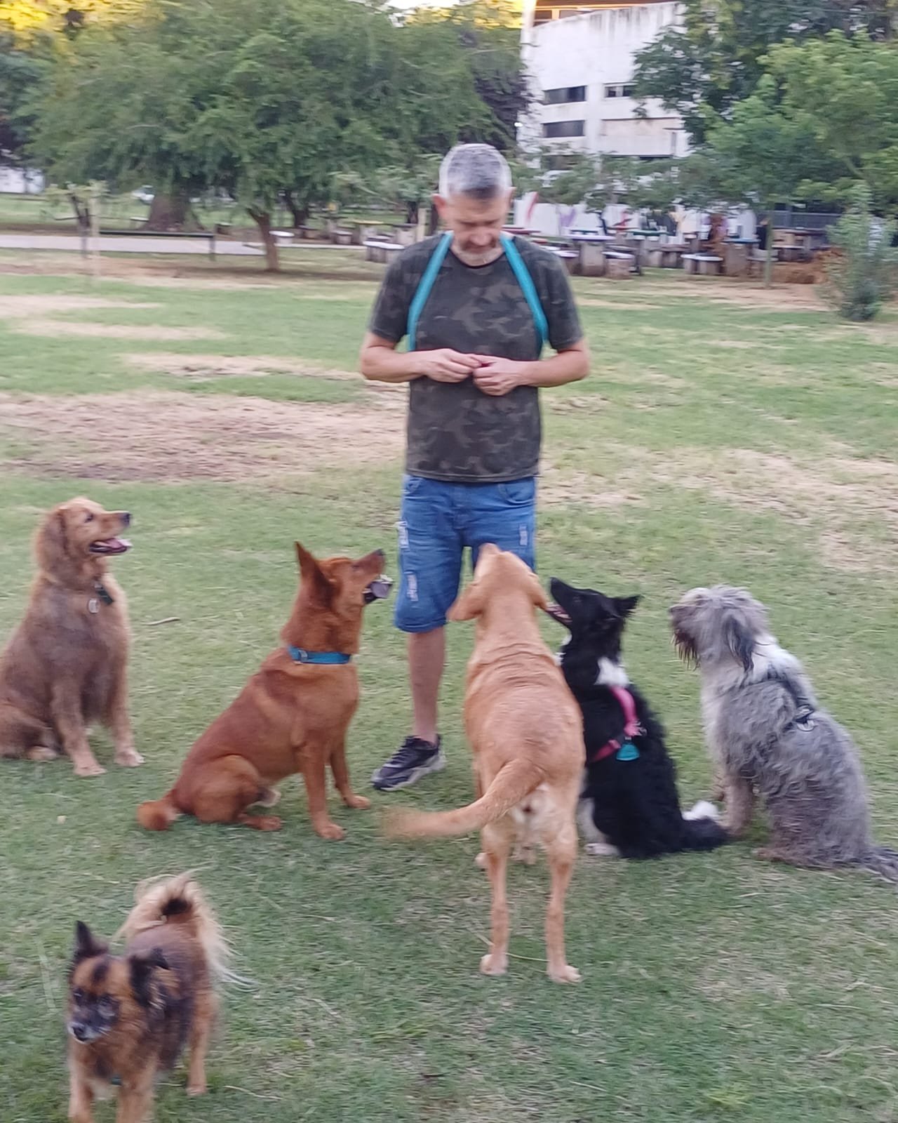 Educador canino con un perro pastor alemán